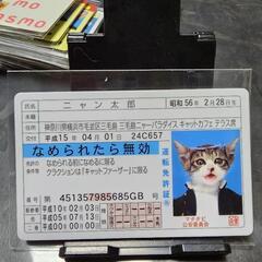 なめ猫　カードコレクション２