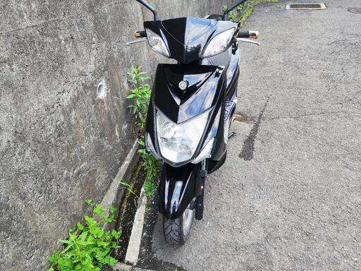 シグナスX 3型 SE44J  国内 横浜