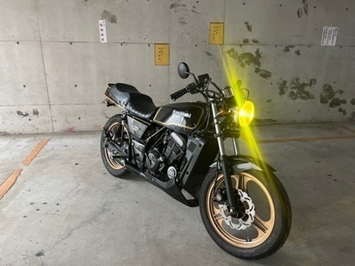 エリミネーター250 SE FX仕様