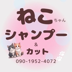 🐾猫ちゃんのシャンプー＆カット🐾の画像