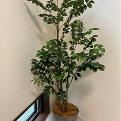 未使用に近い‼️IKEA 観葉植物　フェイカ　142cm