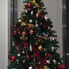 クリスマスツリー（オーナメント付き）210センチ