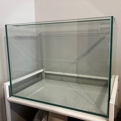 寿工芸　ガラス水槽　40 x 26 x 30 cm