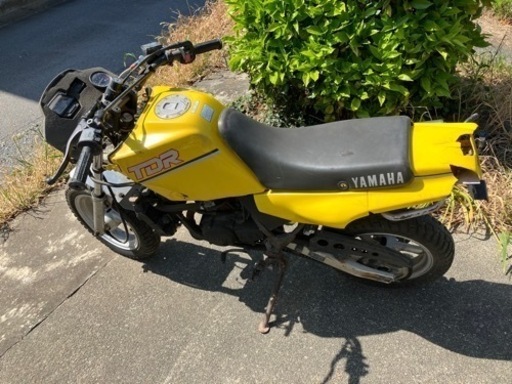 ヤマハ YAMAHA TDR50