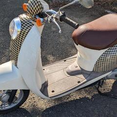 ホンダ　スクーピー　scoopy　　４スト原付50cc