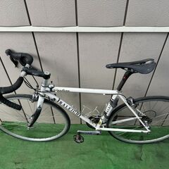 RALEIGH 32506