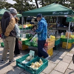 濱ちゃんマルシェイベント御出店者様募集 − 大阪府