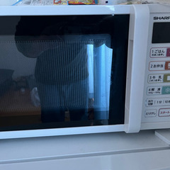 【ネット決済】洗濯機　冷蔵庫　電子レンジ