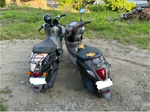 バイク 原付 HONDA