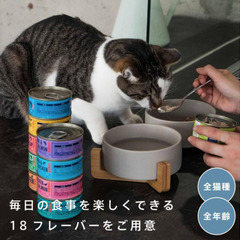 猫用ウェットフード　1ケース(24缶)　1缶あたり62円