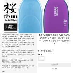 2024プライドボディボードSAKURA VM