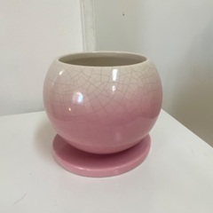 桜色のグラデーションが綺麗な植木鉢