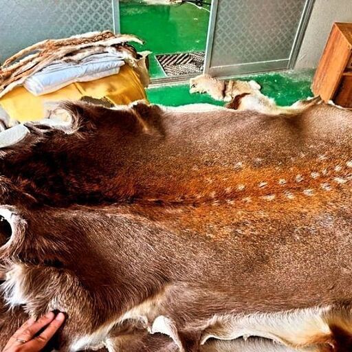 キャンプラグマット　鹿毛皮ラグ