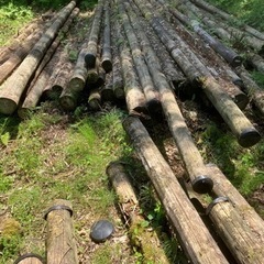 電柱、今なら沢山あります。薪木に