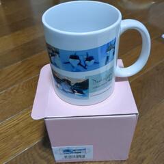 名古屋港水族館で購入したマグカップ(1.2回使用)