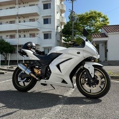 【ネット決済・配送可】バイク カワサキ　ninja250r ニン...