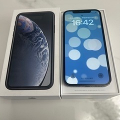 ダートマックスTR40g-iPhone 12 pro グラファイト 256 GB