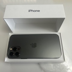 ダートマックスTR40g-iPhone 12 pro グラファイト 256 GB