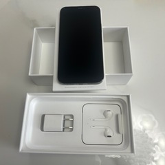 ダートマックスTR40g-iPhone 12 pro グラファイト 256 GB