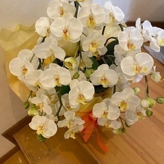 胡蝶蘭の造花