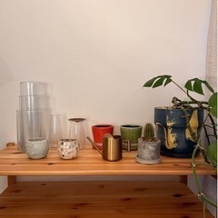 花瓶、植木鉢、植物など12点 (別売り可、値段交渉可)