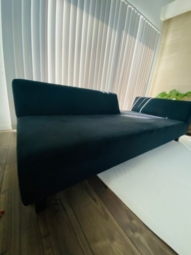 大人気】FLANNEL SOFA ペットの引っ掻き傷に強い