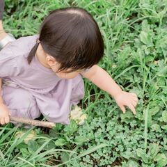 【5月25日】新緑豊かな公園で家族写真の撮影会＠東京稲城市 - 育児
