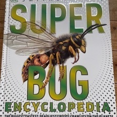 英語本28昆虫