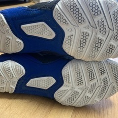 ボクシンググローブ　シューズセット