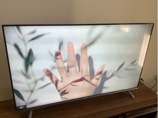 家電 テレビ 液晶テレビ