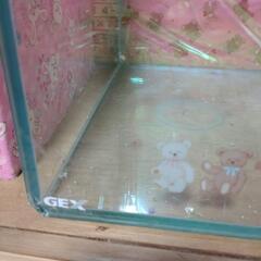 オールガラス水槽 GEX 60cm