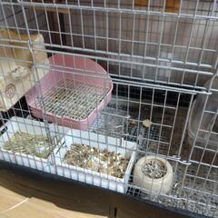 チンチラケージ イージーホーム 80ハイ