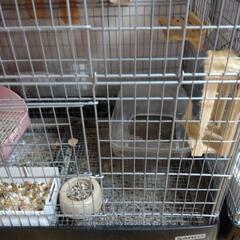 チンチラケージ イージーホーム 80ハイ