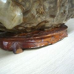 アンモナイト 化石 コレクション 観賞用 石 台座付き 横幅 約38cm 重量