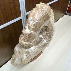 アンモナイト 化石 コレクション 観賞用 石 台座付き 横幅 約38cm 重量