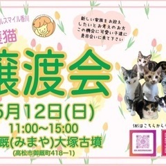5/12(日) 保護猫の譲渡会@アニマルスマイル香川