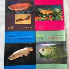 1994年 プラタパッド アロワナ 熱帯魚