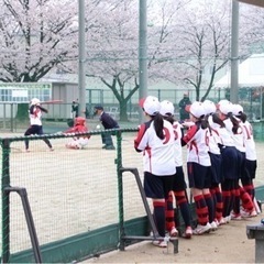 小学生女子ソフトボールチームです🥎 - スポーツ