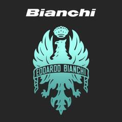 Bianchiのフレーム 10000円程度で探してます
