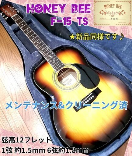 ★新品同様★Honey Bee F-15 TS