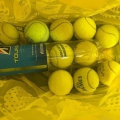 テニスボール12球