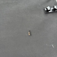 N-VAN用 ベッドキット「MGR Customs」