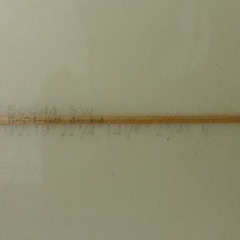 WALDEN ロングボード 長さ9\'2(279.4cm)　幅22 1/4(56.52cm)　厚さ2 3/4(6.99cm) 中古