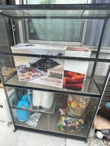 値下げ交渉⭕️ガラスの温室　爬虫類飼育ケース　フィギュアラック