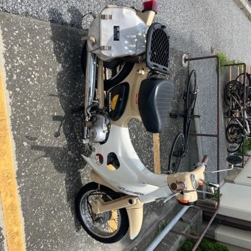 カブ　\n
