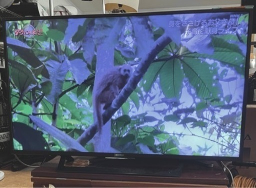 SONY49型TV KJ−9X7000D リサイクルショップ宮崎屋　佐土原店　24.9.21F