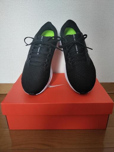 スニーカー NIKE AIR ZOOM PEGASUS 38 4E