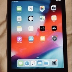 iPad Air Wi-Fi +  Cellularモデル Apple