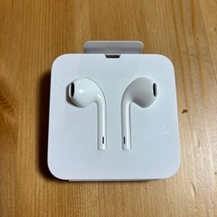 【決定】Apple純正 lightning Ear pods イ...