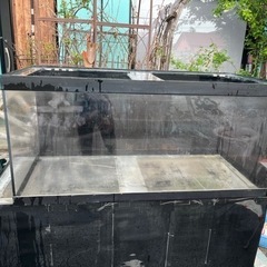 アクリル水槽、大型水槽、大型魚水槽